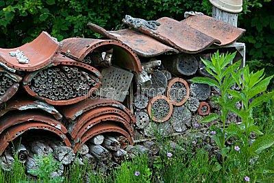 insect-hotel-11765.jpg